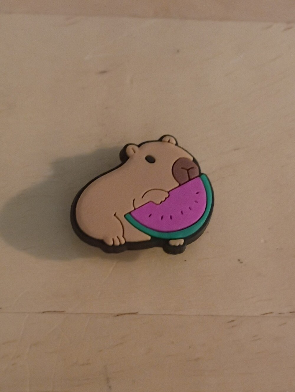10 for $10 Jibbitz Croc Charms - Capybara w/ Watermelon - New Shoe Charm